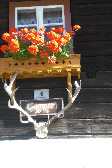Tiere am Gamperhof - Nring - Liesertal - Eisentratten - Krnten