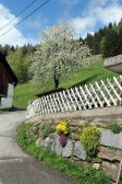 Tiere am Gamperhof - Nring - Liesertal - Eisentratten - Krnten